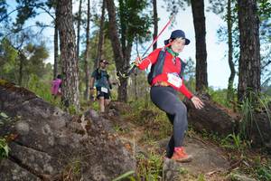 BIB: 
                            <button type="button" onclick="openModal(18946889)" class="btn btn-primary btn-sm float-right btn-popup" data-toggle="modal" data-target=".modal-high-quality">
                        <i class="fas fa-shopping-cart"></i> Add to Cart
                    </button>
                                            <button type="button" onclick="isThisMe(18946889, true)" class="btn btn-success btn-sm float-right btn-popup btn-isme hidden" data-toggle="tooltip" data-placement="bottom" title="นี่คือรูปของคุณใช่ไหม คลิกที่นี่เพื่อเอาเข้าอัลบั้ม">
                        <i class="fas fa-plus"></i> Add to album
                    </button>
                    <button type="button" onclick="isThisMe(18946889, false)" class="btn btn-warning btn-sm float-right btn-popup btn-isnotme hidden">
                        <i class="fas fa-ban"></i> Remove from album
                    </button>